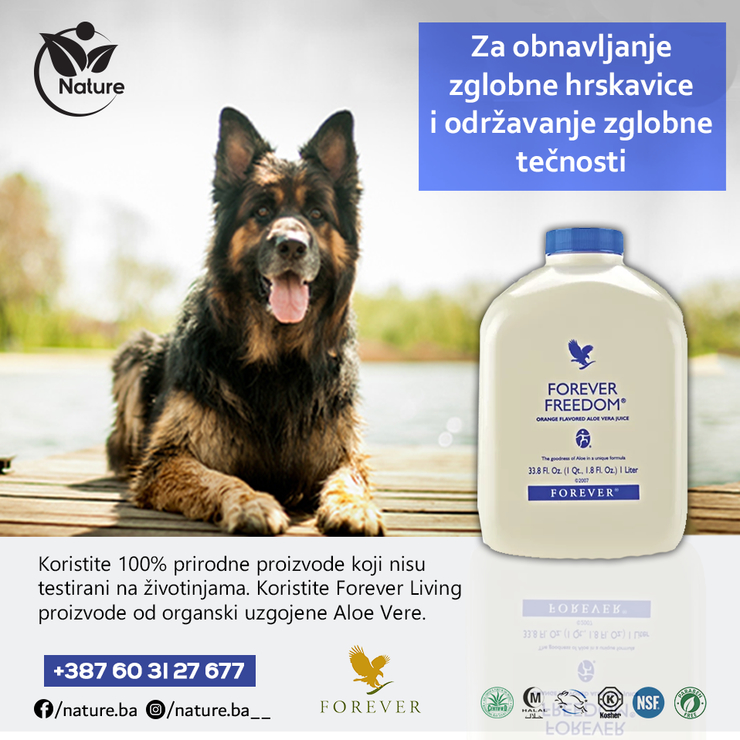 ForeverFreedomLjubmci