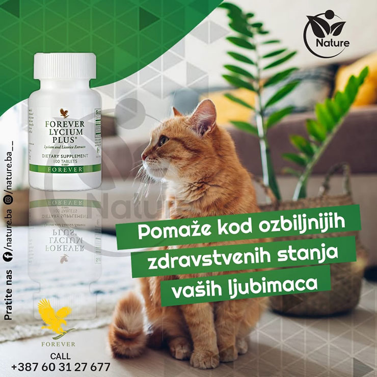 LyciumPlusMacke