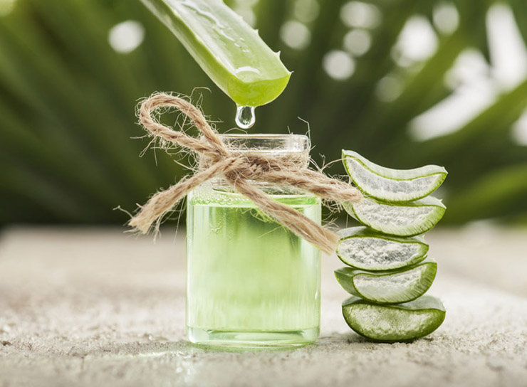 aloevera3